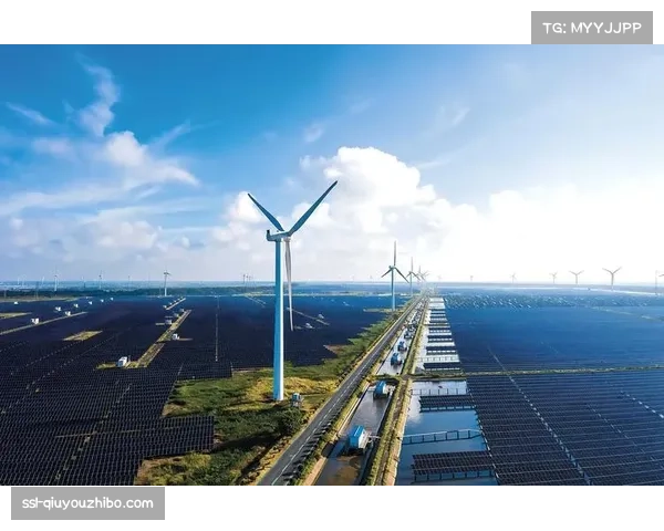 东西部实力分化加剧 季后赛格局或将重塑